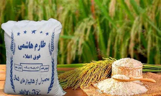 استخدام بازاریاب برنج ایرانی - امیر جوان
