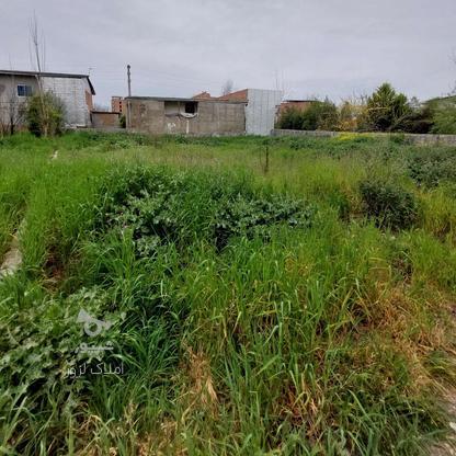 زمین مسکونی 200 متر دیوکتی در گروه خرید و فروش املاک در مازندران در شیپور-عکس1