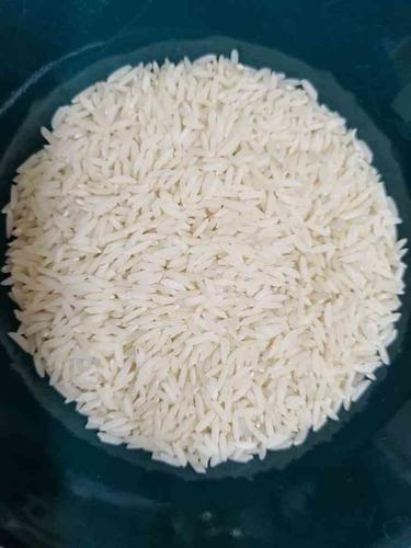 برنج آستانه اشرفیه استخوانی دم سیاه