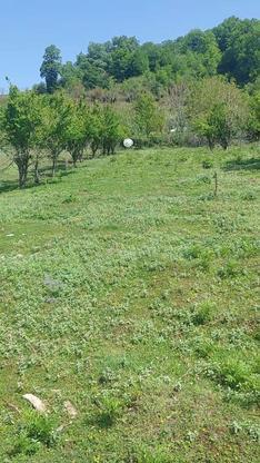 زمین با ویو عالی مناسب برای ویلا سازی 1400متر در گروه خرید و فروش املاک در مازندران در شیپور-عکس1