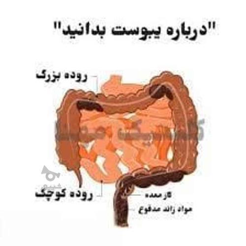 درمان با طب سنتی و گیاهان دارویی