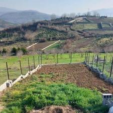 200متر باغچه جنگلی بالا کولا