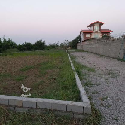 دو قطعه زمین مسکونی با جواز پروانه ساختمانی در گروه خرید و فروش املاک در مازندران در شیپور-عکس1
