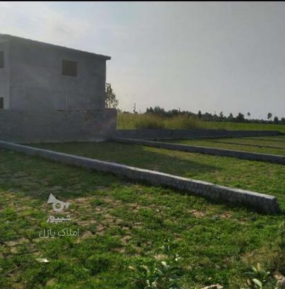 فروش زمین مسکونی 200 متری درجاده خانه دریا در گروه خرید و فروش املاک در مازندران در شیپور-عکس1
