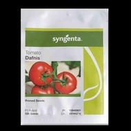 بذر گوجه دافنیس Syngenta، فروش و ارسال