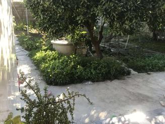 خونه باغ60 متری واقع در مشک آباد جویبار،فاصله بادریا10دقیقه