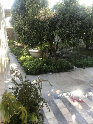 خونه باغ60 متری واقع در مشک آباد جویبار،فاصله بادریا10دقیقه در گروه خرید و فروش املاک در مازندران در شیپور-عکس1