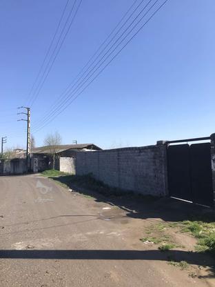 225 متر زمین مسکونی واقع در کته پشت امل در گروه خرید و فروش املاک در مازندران در شیپور-عکس1