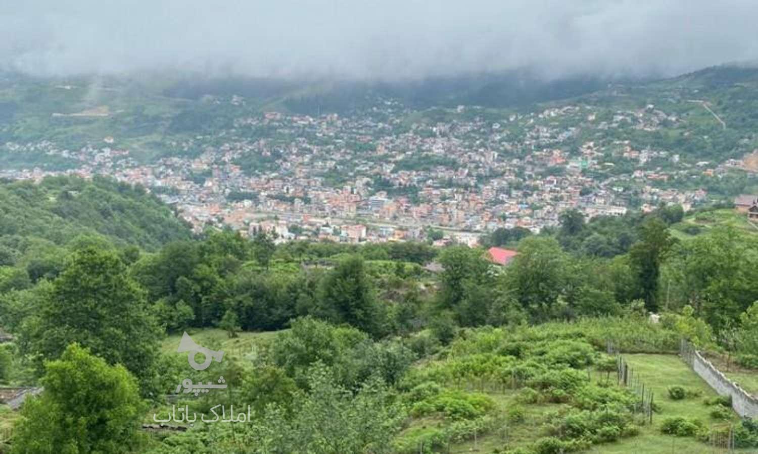 2000متر.سوادکوه مناسب بوم گردی در گروه خرید و فروش املاک در مازندران در شیپور-عکس1