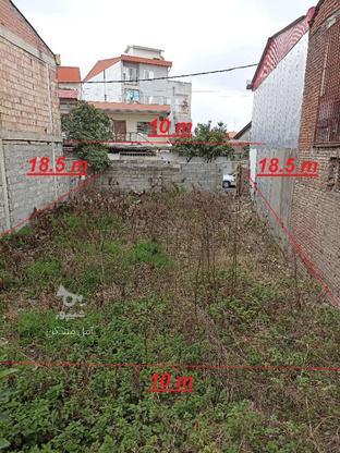 فروش زمین مسکونی 185 متر در امام رضا در گروه خرید و فروش املاک در مازندران در شیپور-عکس1