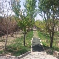 باغچه درخت میوه در تهران 500متر