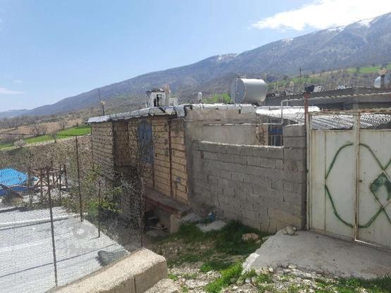 اجاره کوتاه مدت خانه در 20 کیلومتری جوانرود در گروه خرید و فروش املاک در کرمانشاه در شیپور-عکس1