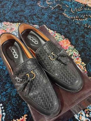 فروش کفش مجلسی مردانه در گروه خرید و فروش لوازم شخصی در مازندران در شیپور-عکس1