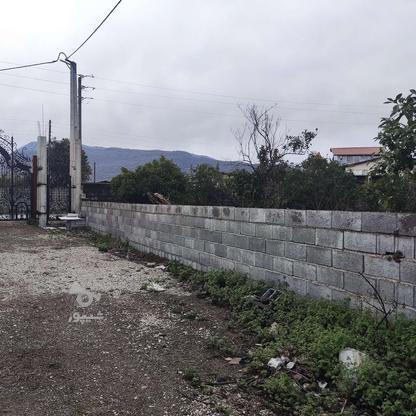 فروش 250 متر زمین بافت مسکونی داخل مجموعه در گروه خرید و فروش املاک در مازندران در شیپور-عکس1