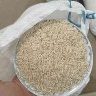برنج طارم امساله کشت اول