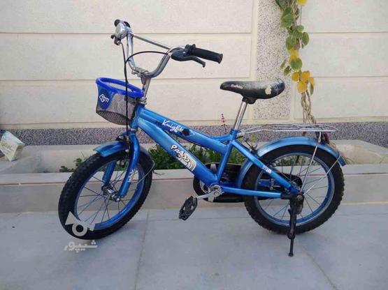 دوچرخه 16 پرادو در گروه خرید و فروش ورزش فرهنگ فراغت در فارس در شیپور-عکس1