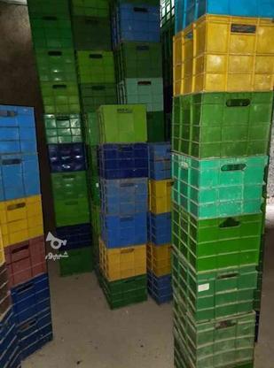 جعبه و سبد پلاستیکی صنعتی در گروه خرید و فروش خدمات و کسب و کار در گلستان در شیپور-عکس1
