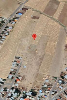 1000 متر زمین در روستای نوشار در گروه خرید و فروش املاک در اردبیل در شیپور-عکس1