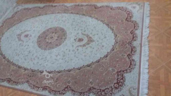 فرش 6متری ابریشم بافت مهستان پادری گلیم قالیچه در گروه خرید و فروش لوازم خانگی در البرز در شیپور-عکس1