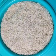 برنج طارم هاشمی کشت دوم (نوج)