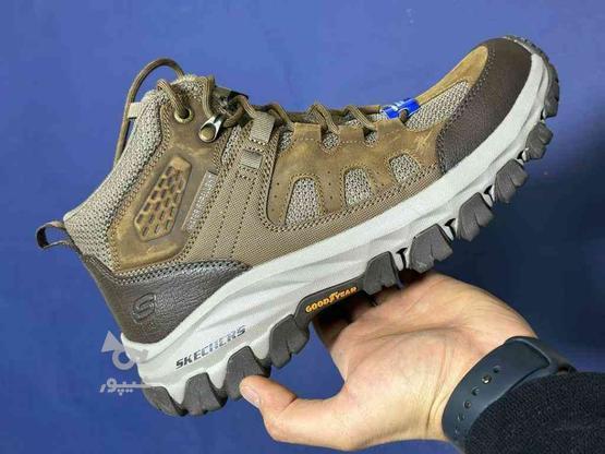 کفش اسکیچرز طبیعت‌گردی اورجینال سایز 42 در گروه خرید و فروش ورزش فرهنگ فراغت در خراسان رضوی در شیپور-عکس1
