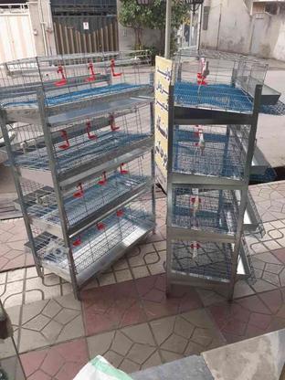 قفس مرغ تخمگذار و بلدرچین در گروه خرید و فروش خدمات و کسب و کار در مازندران در شیپور-عکس1
