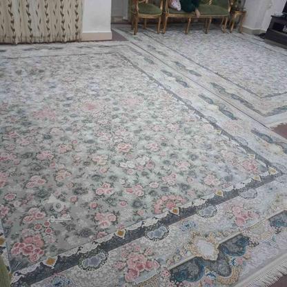فرش کاشان 1200 شانه طرح جدید در گروه خرید و فروش لوازم خانگی در زنجان در شیپور-عکس1