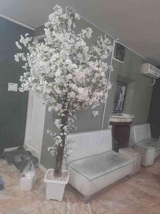 درختچه مصنوعی در گروه خرید و فروش لوازم خانگی در تهران در شیپور-عکس1