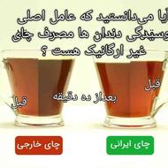 چای ایرانی و خارجی صد در صد ارگانیک