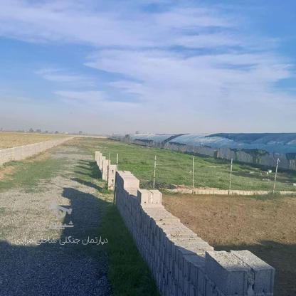 156متر زمین کاربری باغی سند دار شرایط اقساطی در گروه خرید و فروش املاک در مازندران در شیپور-عکس1