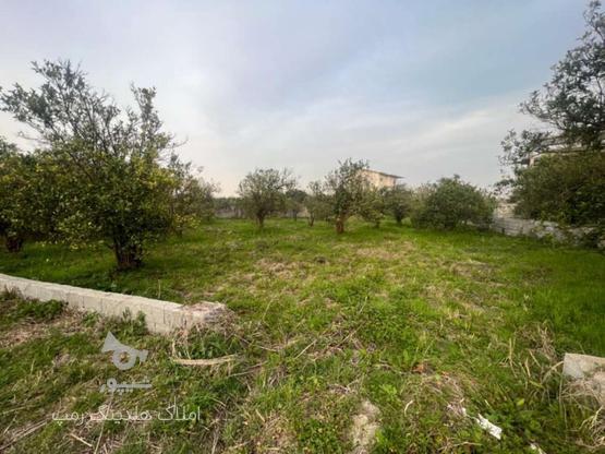 فروش زمین سند دار 1210 متر در کتالم در گروه خرید و فروش املاک در مازندران در شیپور-عکس1