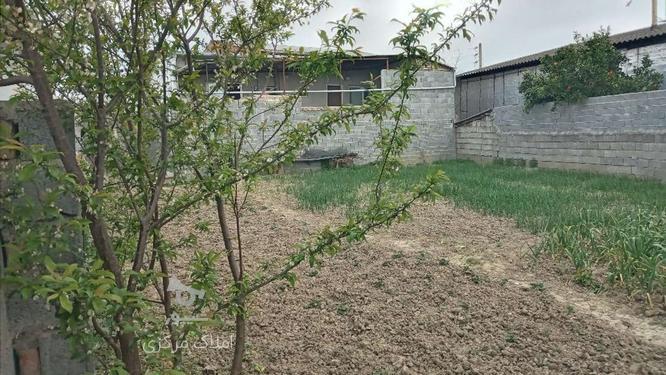 زمین داخل بافت 220متر دوردیوار(خوش موقعیت) در گروه خرید و فروش املاک در مازندران در شیپور-عکس1