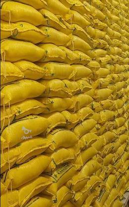 برنج عنبربو در گروه خرید و فروش خدمات و کسب و کار در کرمانشاه در شیپور-عکس1