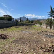 فروش زمین مسکونی 1000 متر در بلوار معلم