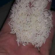 برنج درونگر