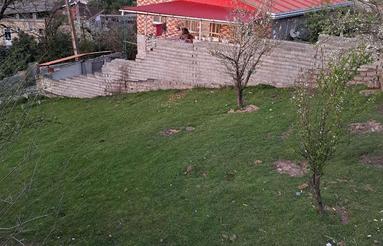 زمین مسکونی 318 متری اطراف شیرگاه