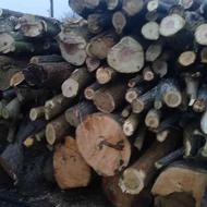 خرید چوب الات باغی