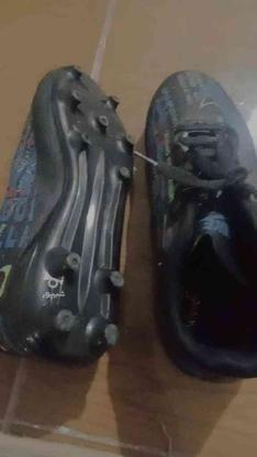 کفش فوتبال چمن نو هست در گروه خرید و فروش ورزش فرهنگ فراغت در اردبیل در شیپور-عکس1