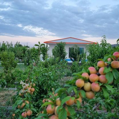 فروش باغ 700متری در شهر وایقان در گروه خرید و فروش املاک در آذربایجان شرقی در شیپور-عکس1