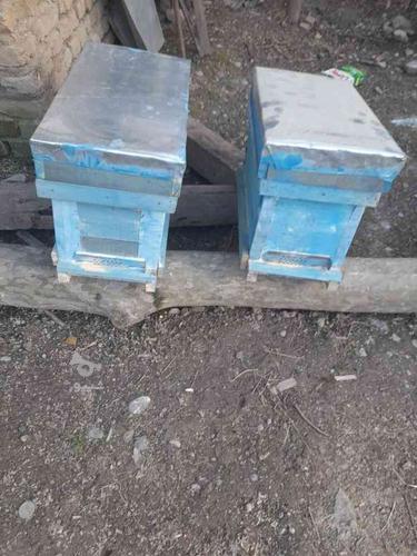 فروش کندو وطبق وکندوچه و وسایل زنبورداری