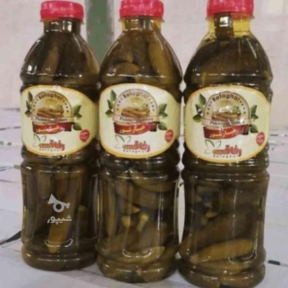 خیارشور بطری در گروه خرید و فروش خدمات و کسب و کار در قزوین در شیپور-عکس1