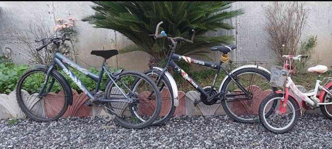دو عدد دوچرخه سالم بدون پوسیدگی در گروه خرید و فروش ورزش فرهنگ فراغت در مازندران در شیپور-عکس1