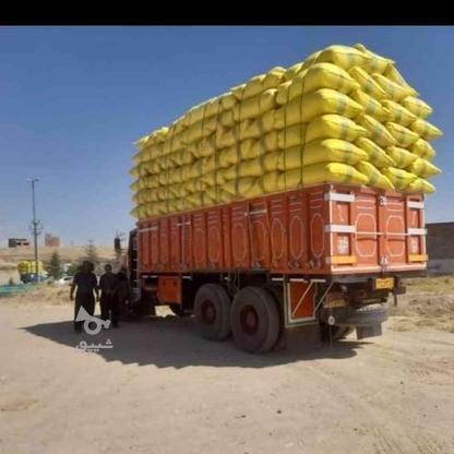 فروش عمده و خرده کاه گندم درجه یک در گروه خرید و فروش خدمات و کسب و کار در اصفهان در شیپور-عکس1