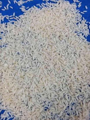 برنج کشت دوم امرللهی درجه یک در گروه خرید و فروش خدمات و کسب و کار در مازندران در شیپور-عکس1