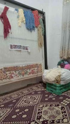 دار قالی بهمرا نخ در گروه خرید و فروش ورزش فرهنگ فراغت در زنجان در شیپور-عکس1