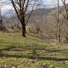 فروش و معاوضه زمین مسکونی در ییلاق چروده با واحد در پره سر