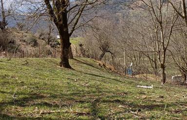 فروش و معاوضه زمین مسکونی در ییلاق چروده با واحد در پره سر