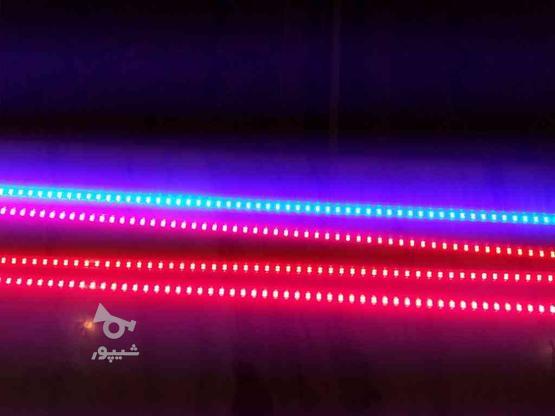 لامپهای تزیینی 102سانتیمتری جهت دکوروتزیین در گروه خرید و فروش لوازم الکترونیکی در مرکزی در شیپور-عکس1