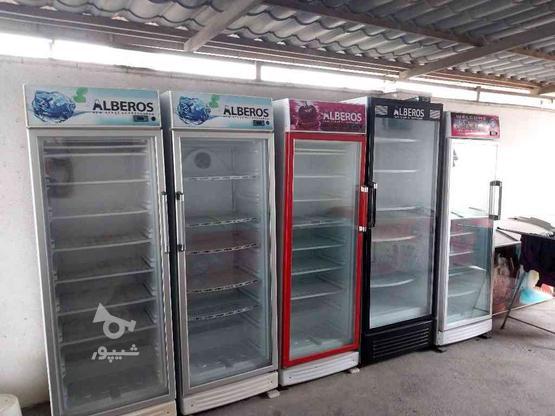 انواع یخچال فریزر هم صندوقی هم تک در در گروه خرید و فروش صنعتی، اداری و تجاری در مازندران در شیپور-عکس1