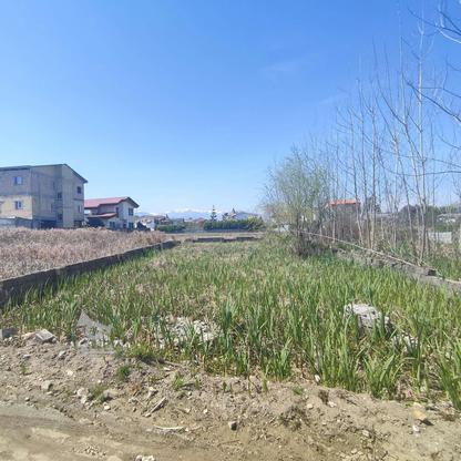 فروش زمین مسکونی 360 متری سند تک برگ در گروه خرید و فروش املاک در مازندران در شیپور-عکس1